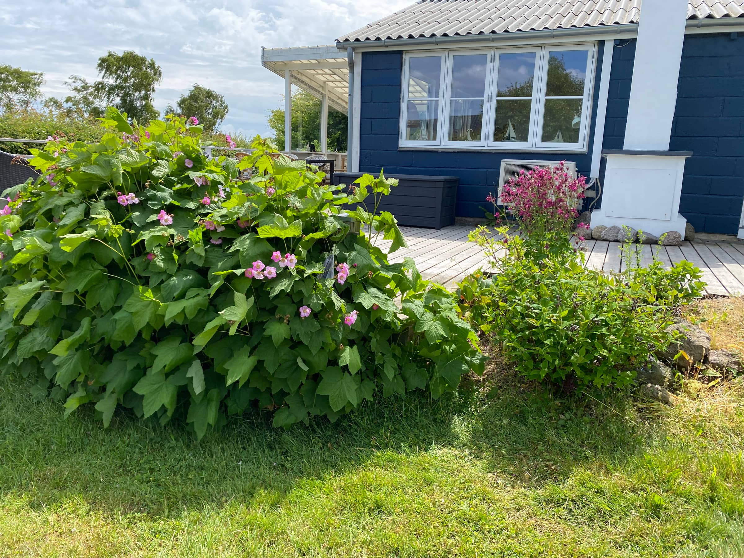 Smukt sommerhus på Bornholm med havudsigt billede 2