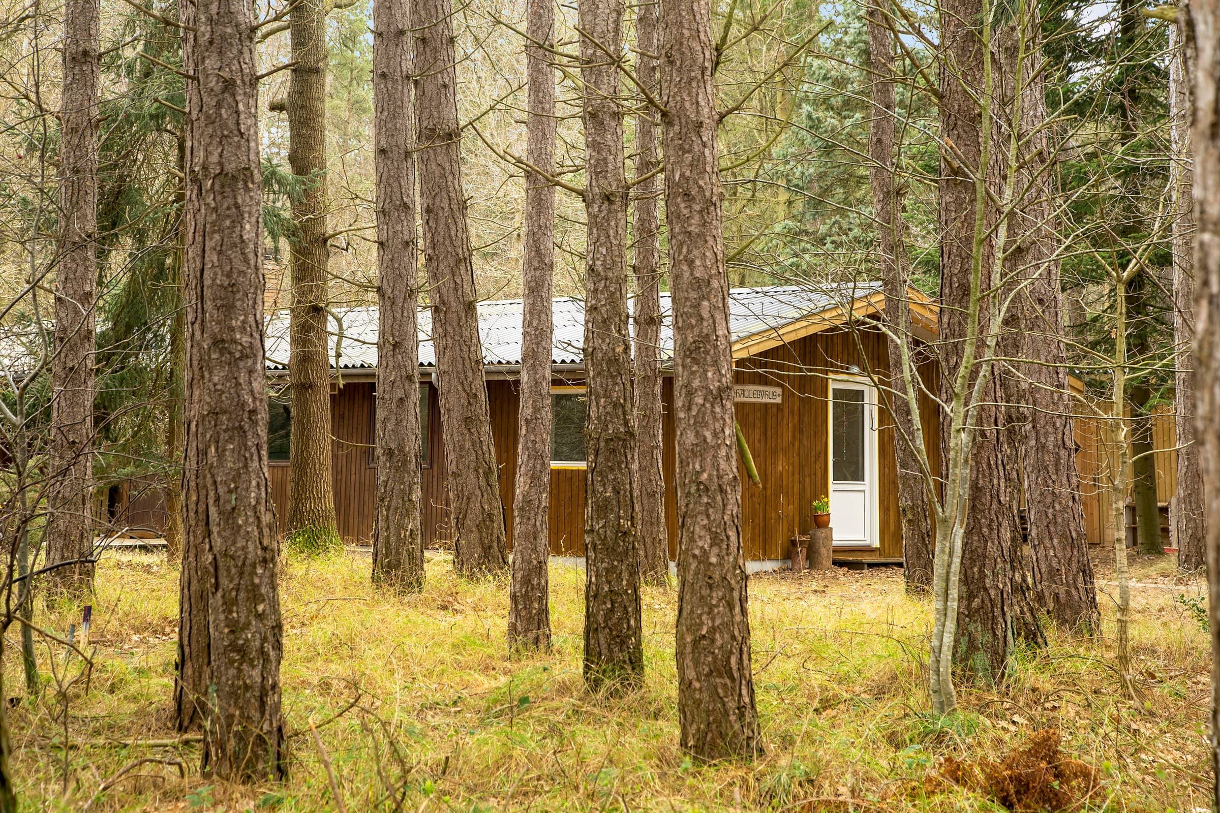 Dejligt sommerhus midt i skoven, tæt på vandet billede 2