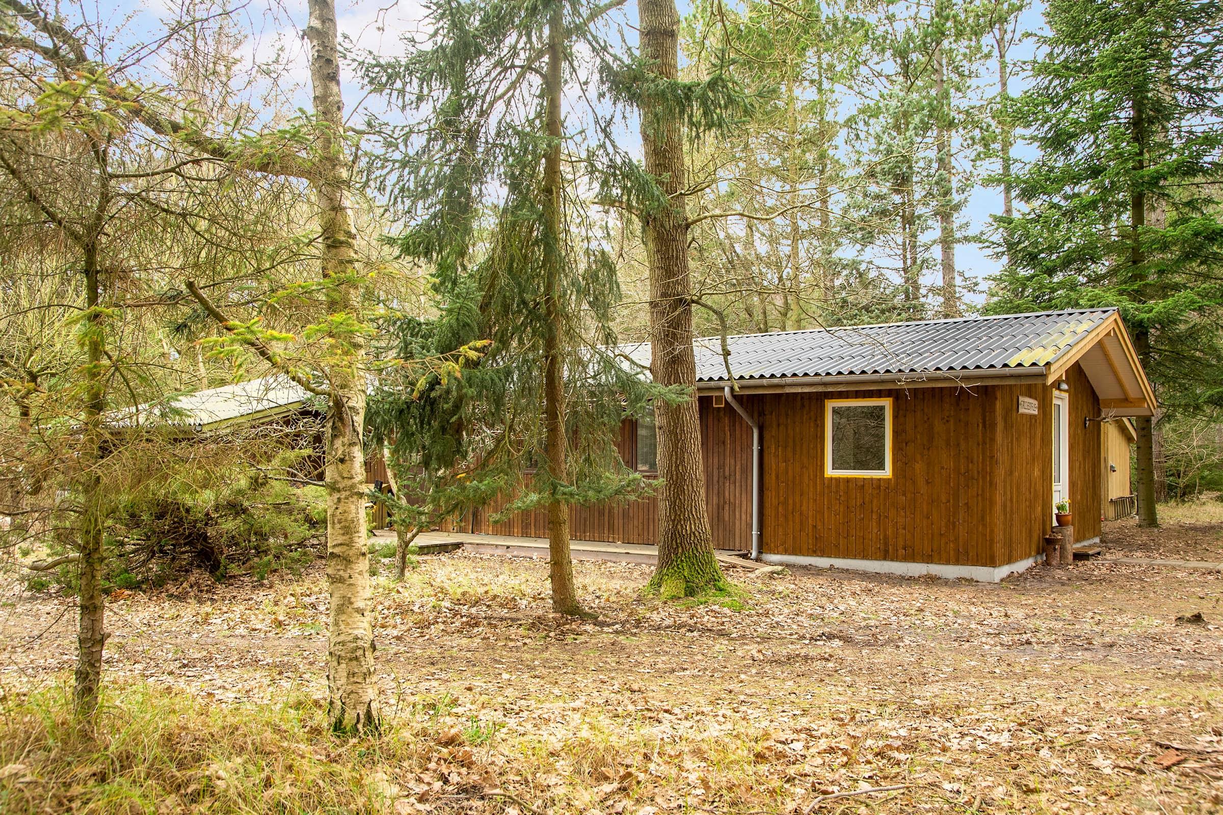 Dejligt sommerhus midt i skoven, tæt på vandet billede 3