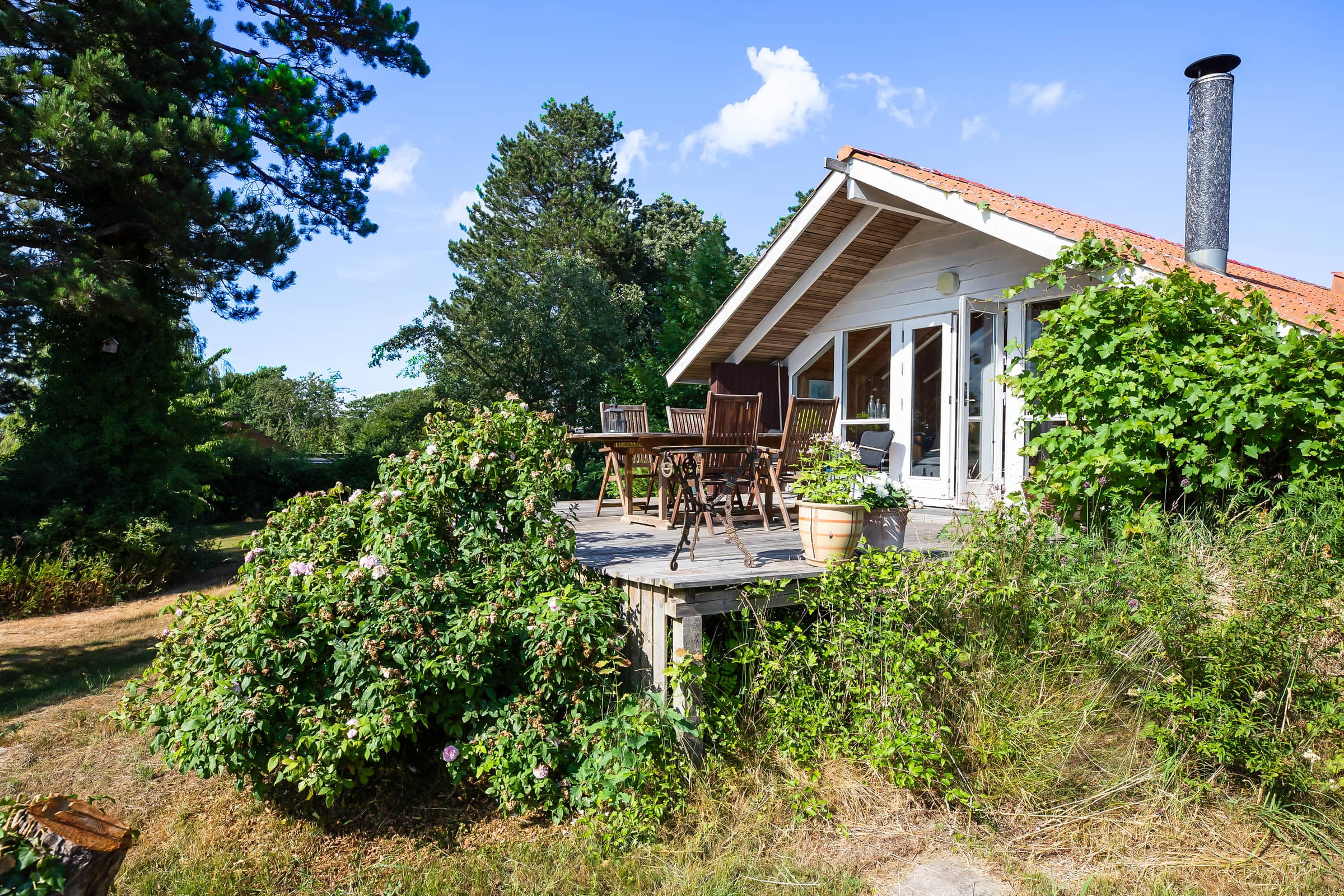 Skønt sommerhus med udsigt til Roskilde Fjord billede 3