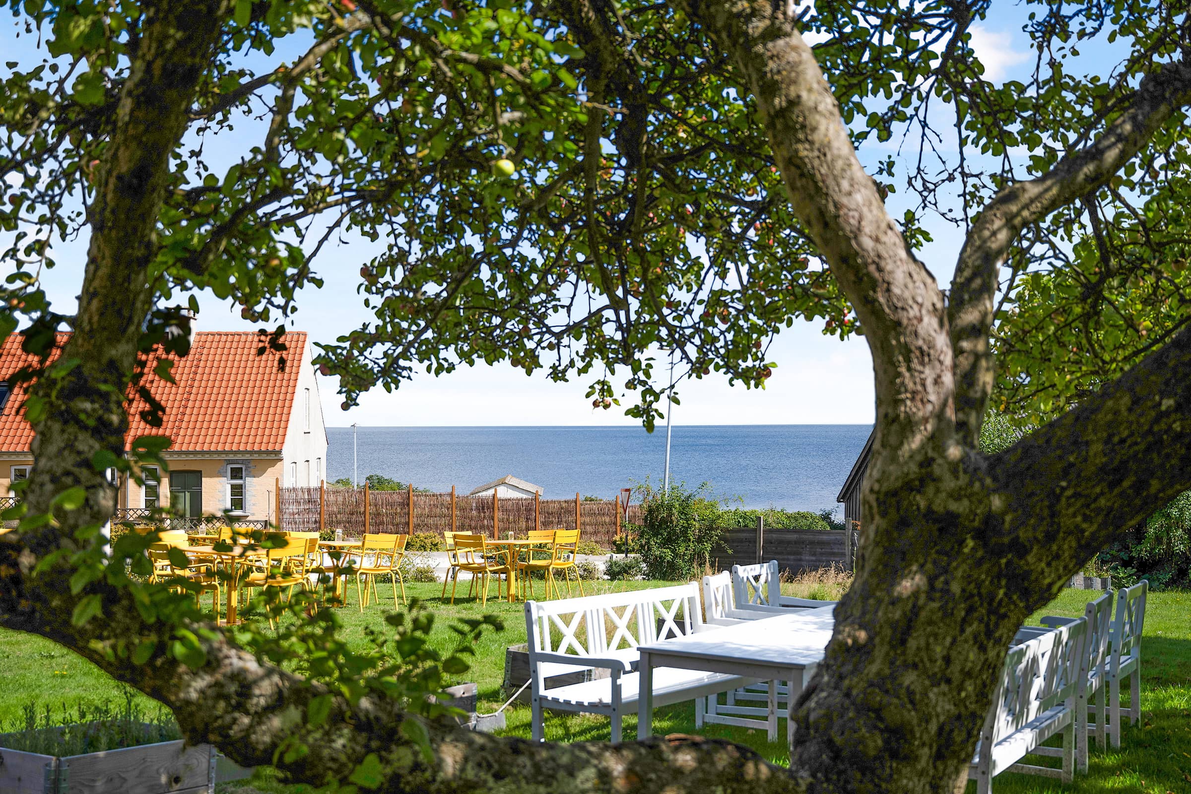 Hyggelig ferielejlighed  på skønne Solgaarden (8) billede 4