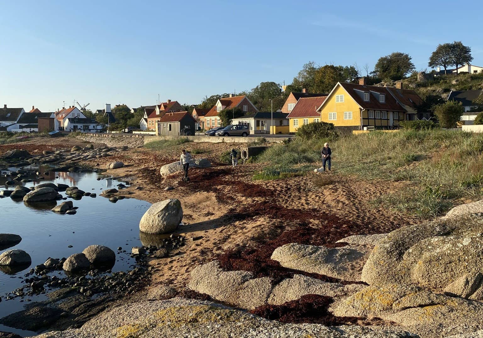 Sommerferielejlighed  3 på skønne Solgården billede 2