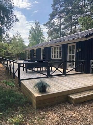Sommerhuset, midt i skoven tæt på vandet. billede 5
