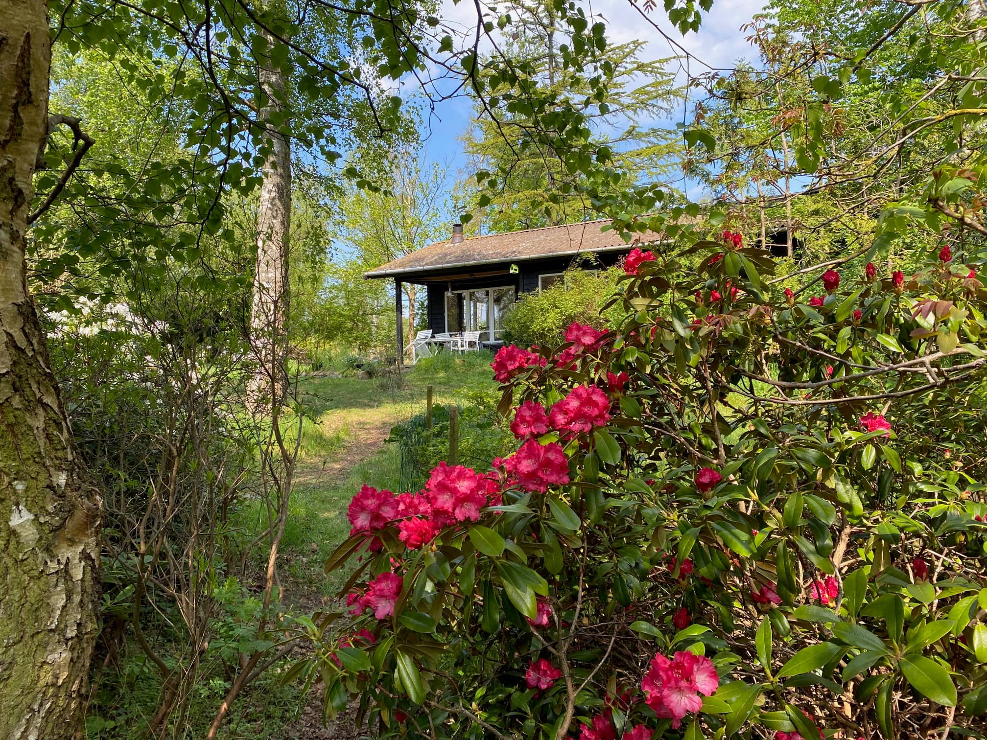Sommerhus ved Veddinge i hyggelig 70’er stil billede 3