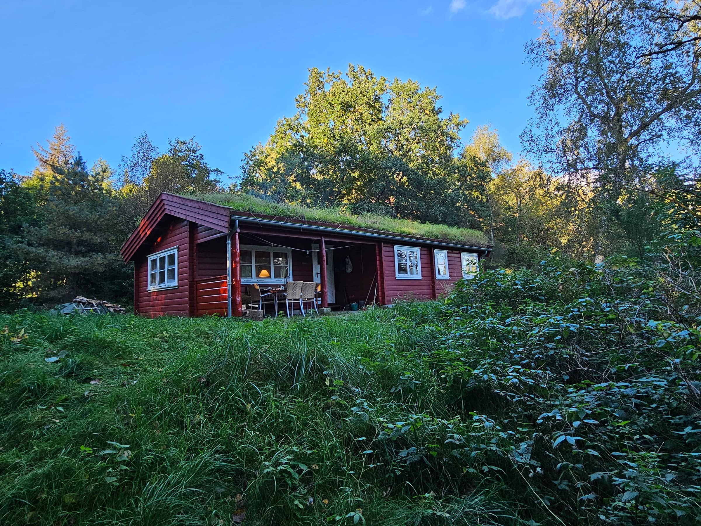 Charmerende, ældre sommerhus i naturen billede 2