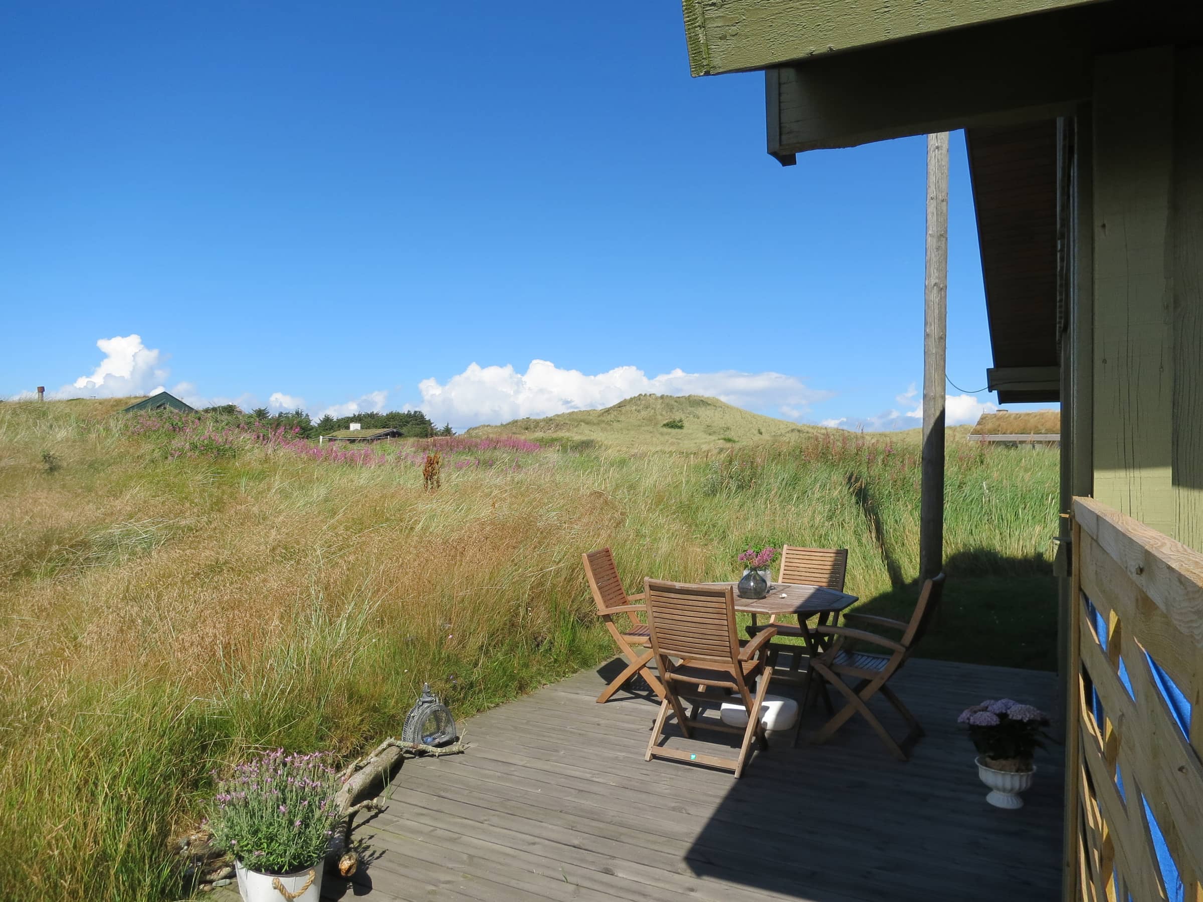 Naturskønt sommerhus i Skagen  billede 2