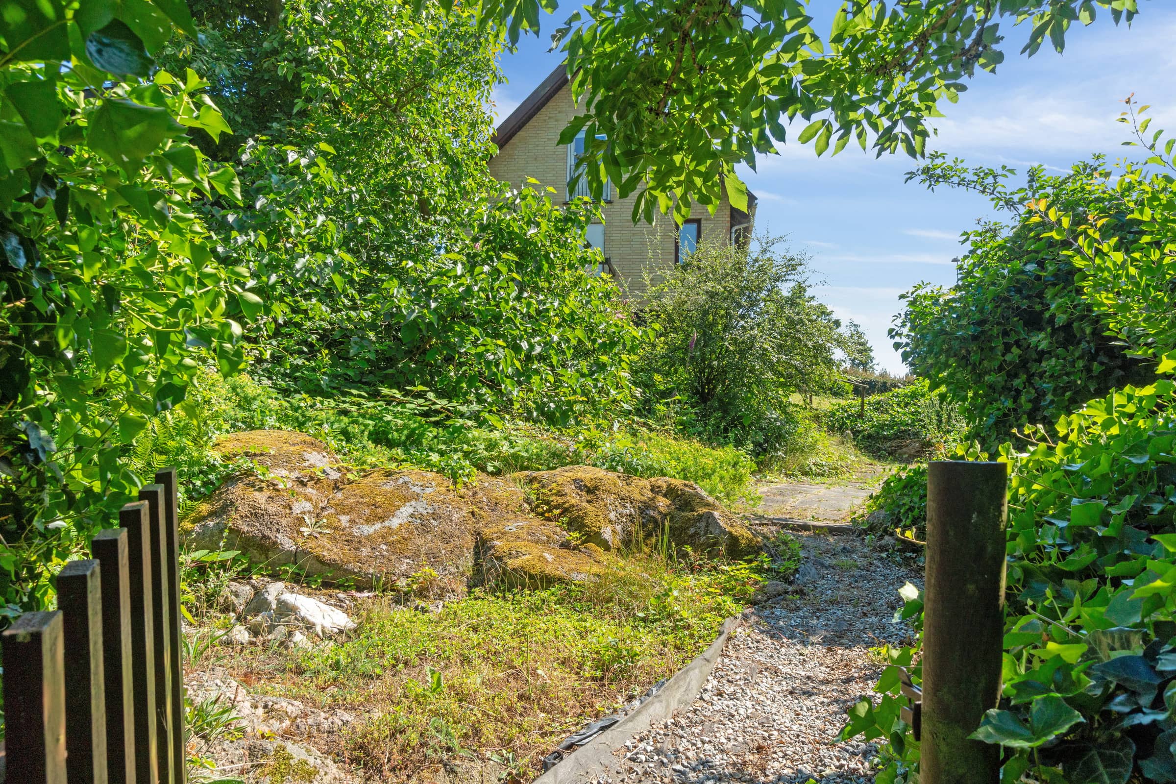 Hyggeligt hus op til skov, kyst og klippestrand billede 2