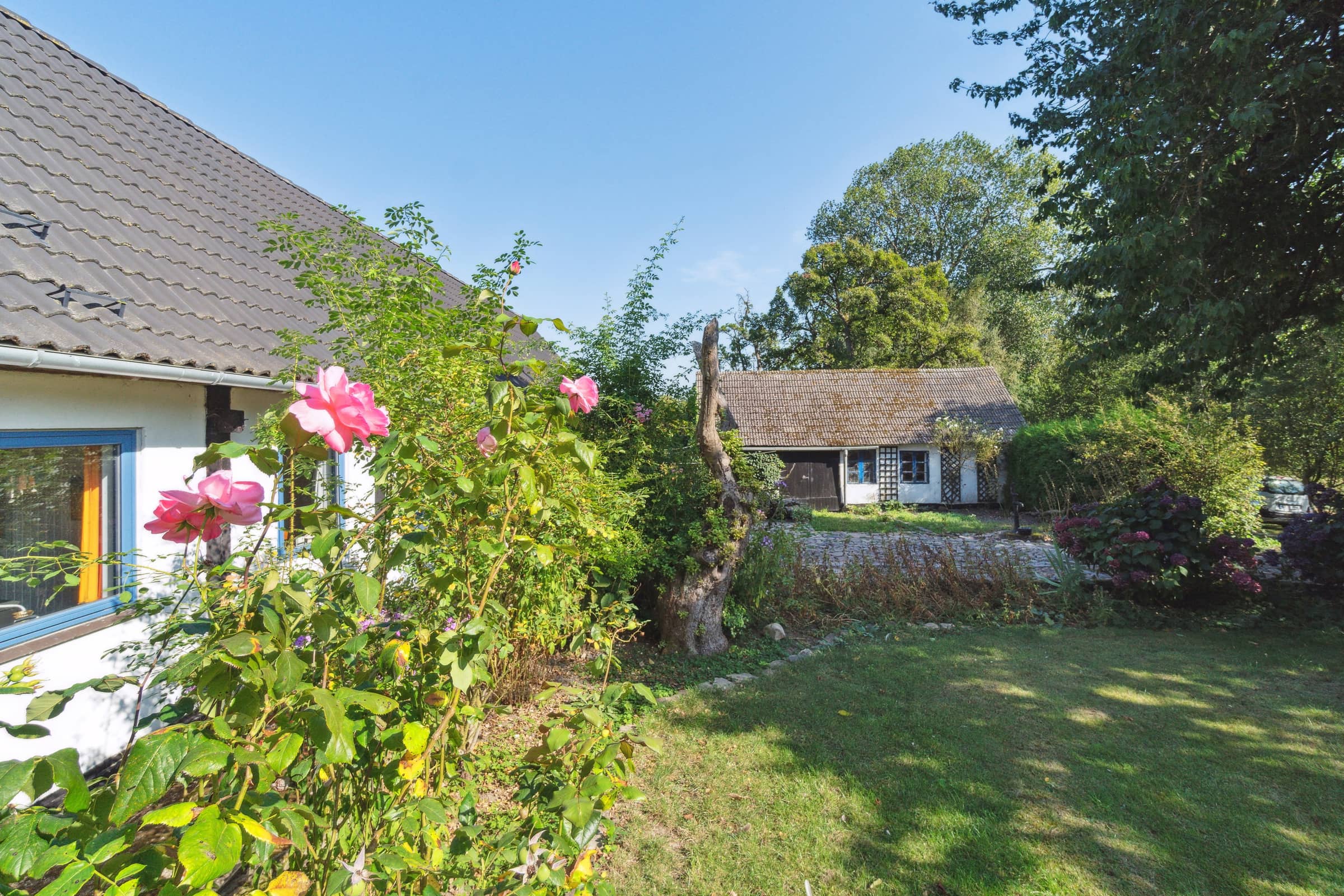 Hyggeligt sommerhus på Bornholm billede 4