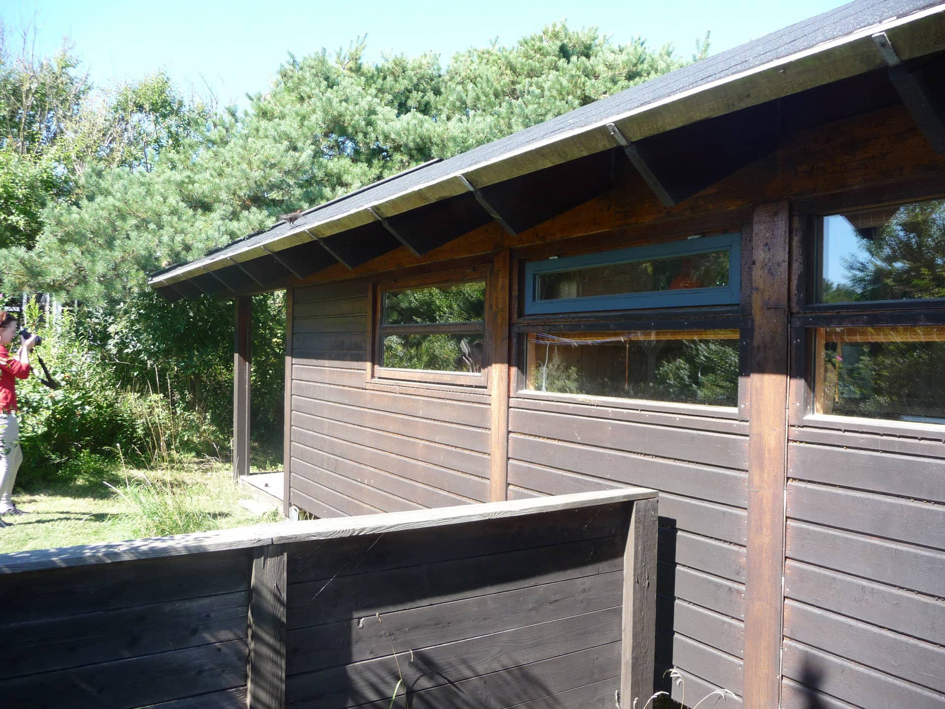 Hyggeligt sommerhus tæt på stranden billede 3