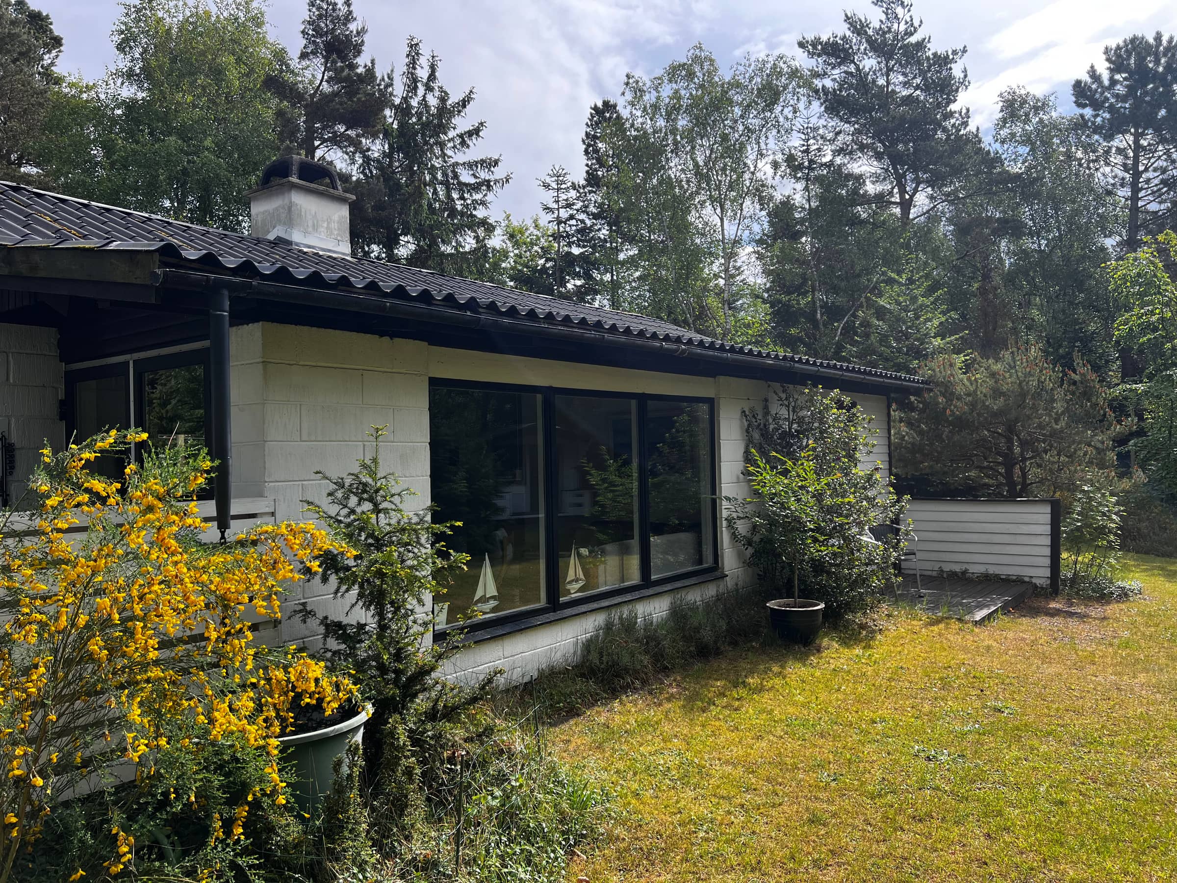 Hyggeligt nyrenoveret hus på stor privat grund. billede 5