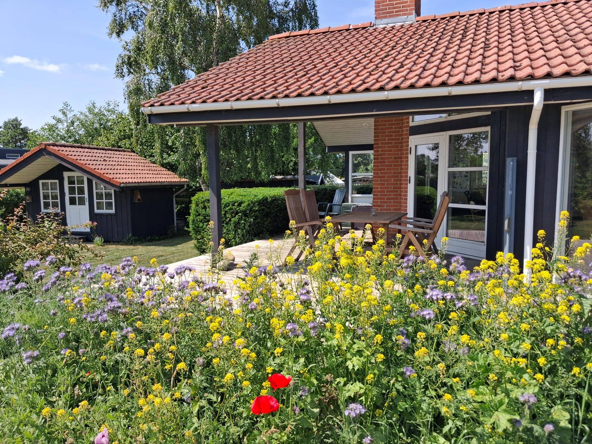 Hyggeligt sommerhus tæt på strand og skov billede 2