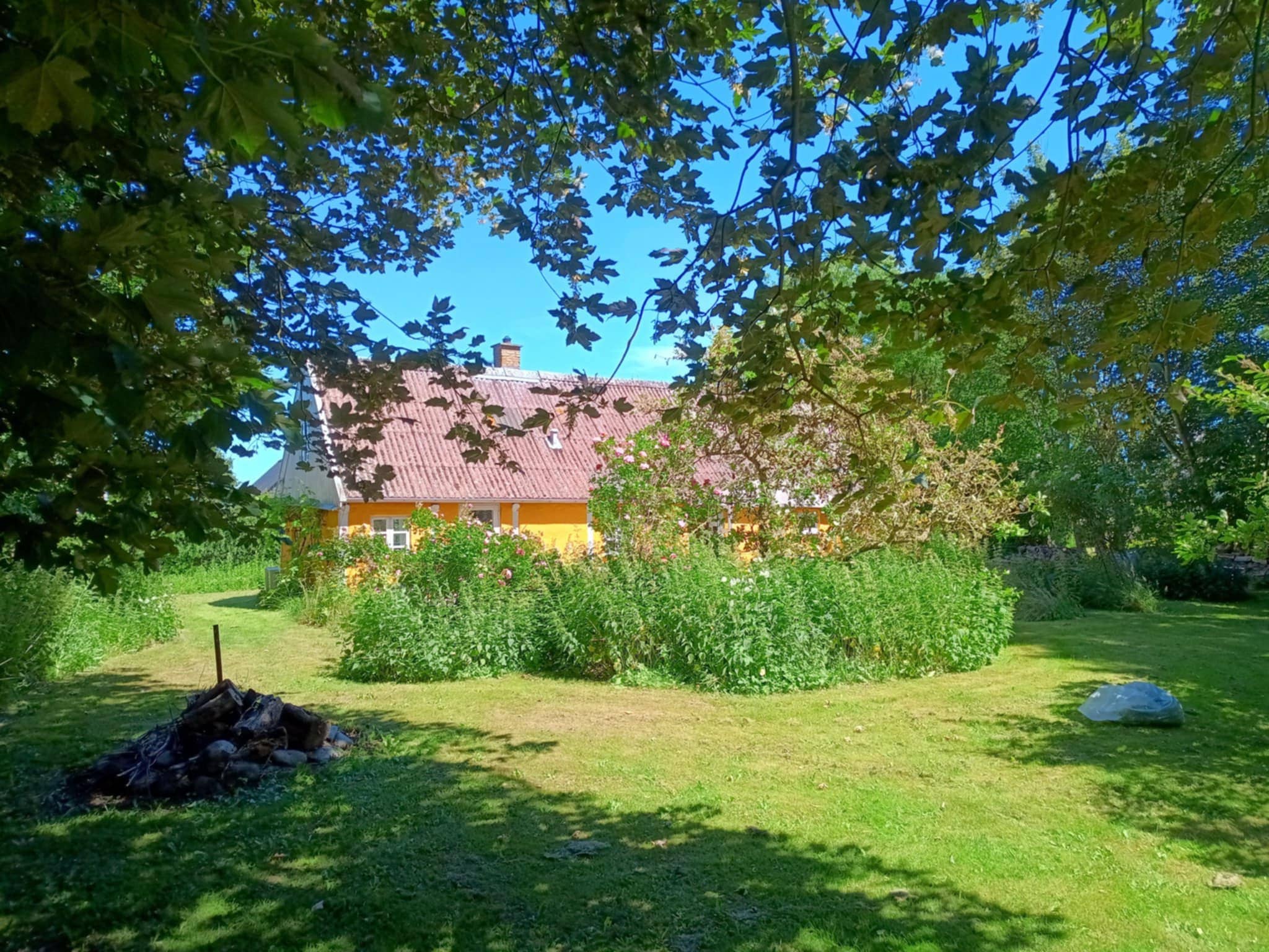 Særdeles charmerende sommerhus på Sejerø billede 4