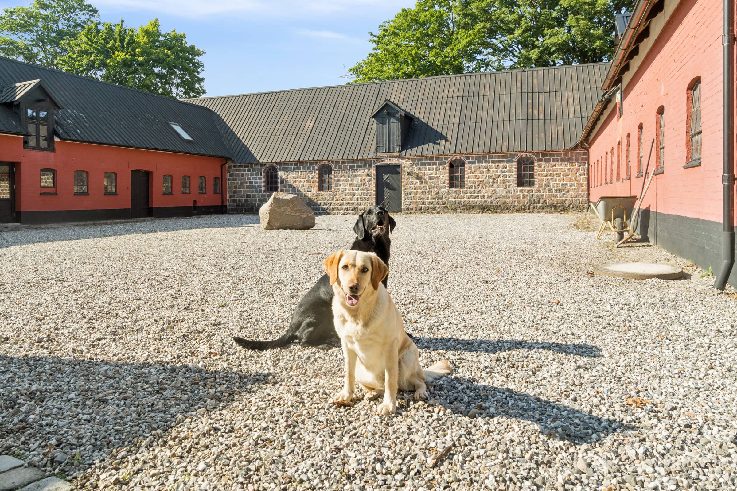 Lækkert hus med pool tæt på skønne Aarhus billede 2
