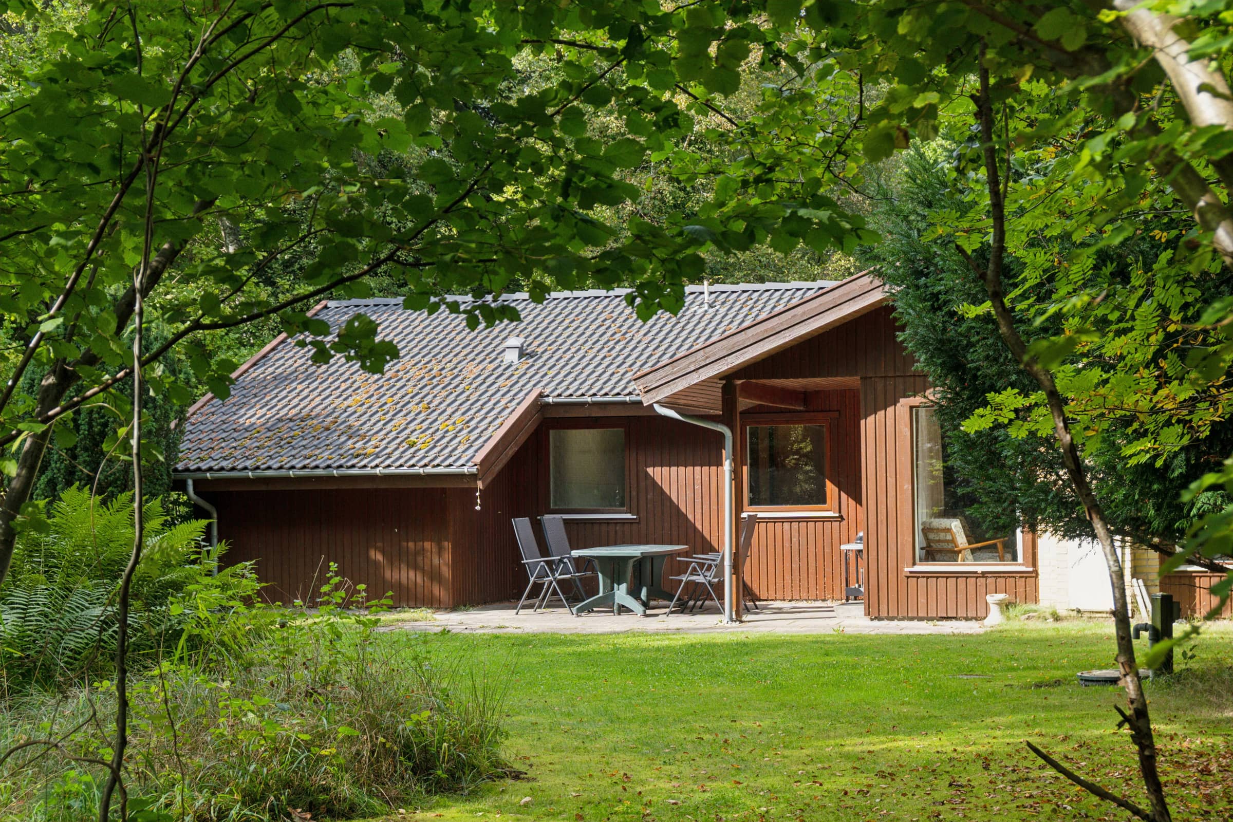 Hyggeligt sommerhus på naturgrund tæt på Dybesø  billede 5