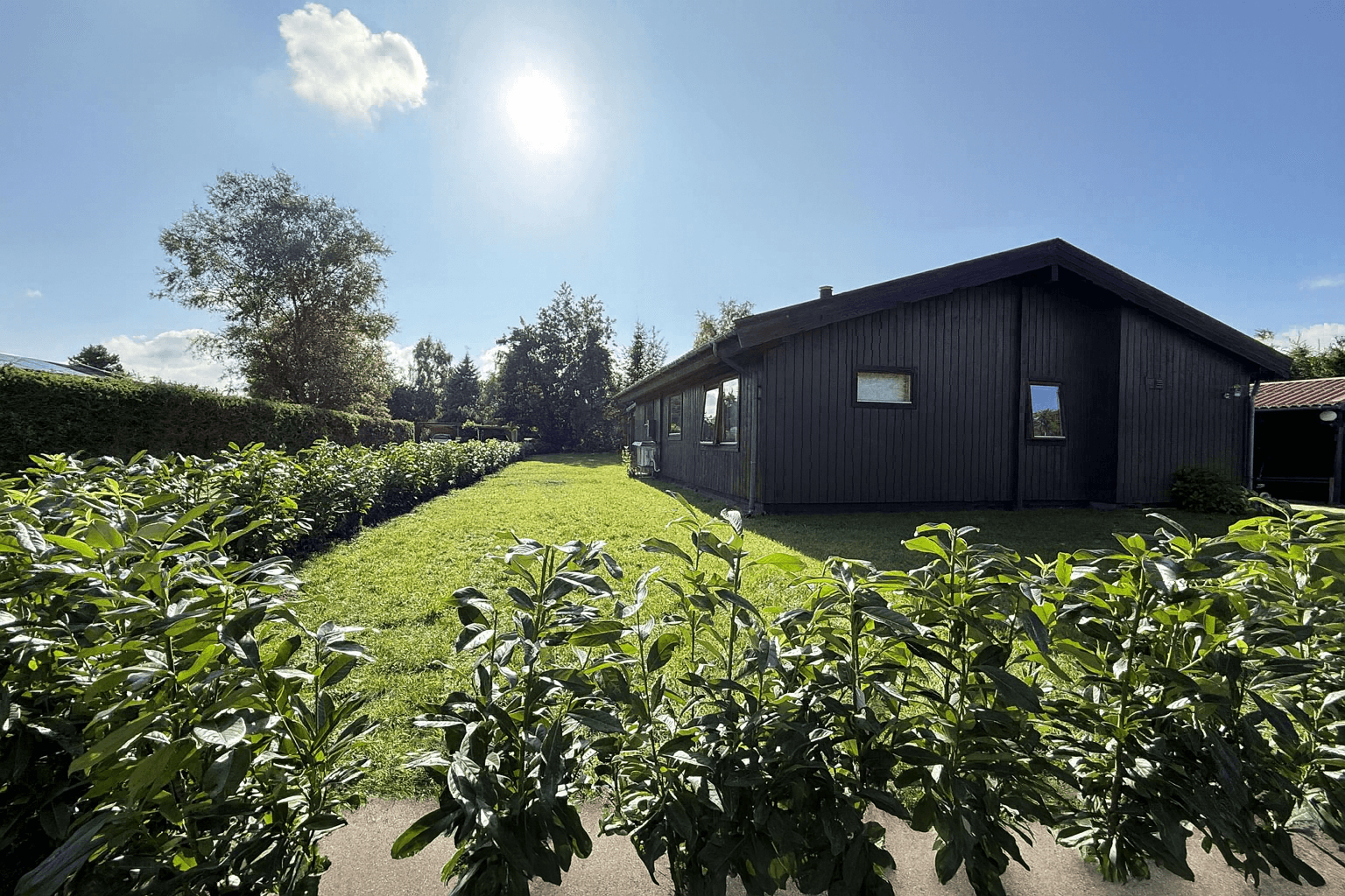 Perlen i Marielyst billede 3