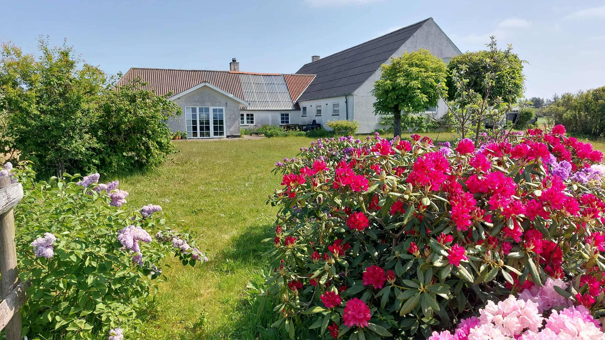 🐴 Ferie på landet i hyggeligt stuehus med heste billede 2
