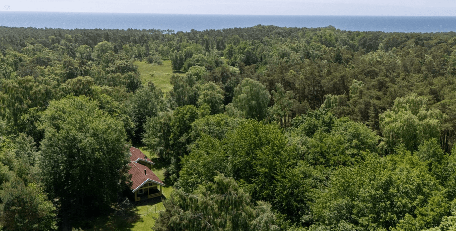 Hyggeligt og moderne sommerhus midt i skoven billede 2