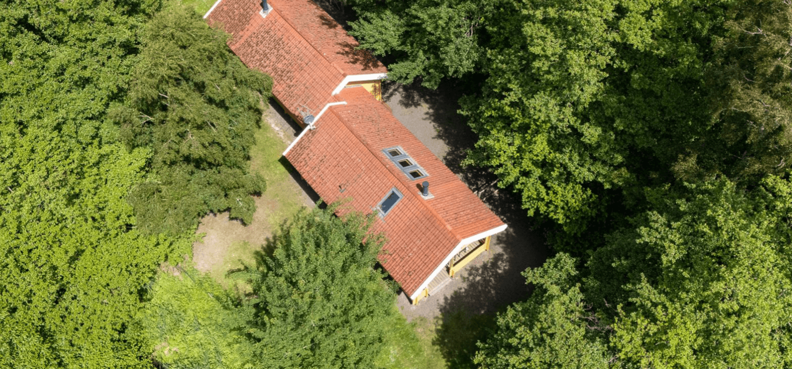 Hyggeligt og moderne sommerhus midt i skoven billede 3