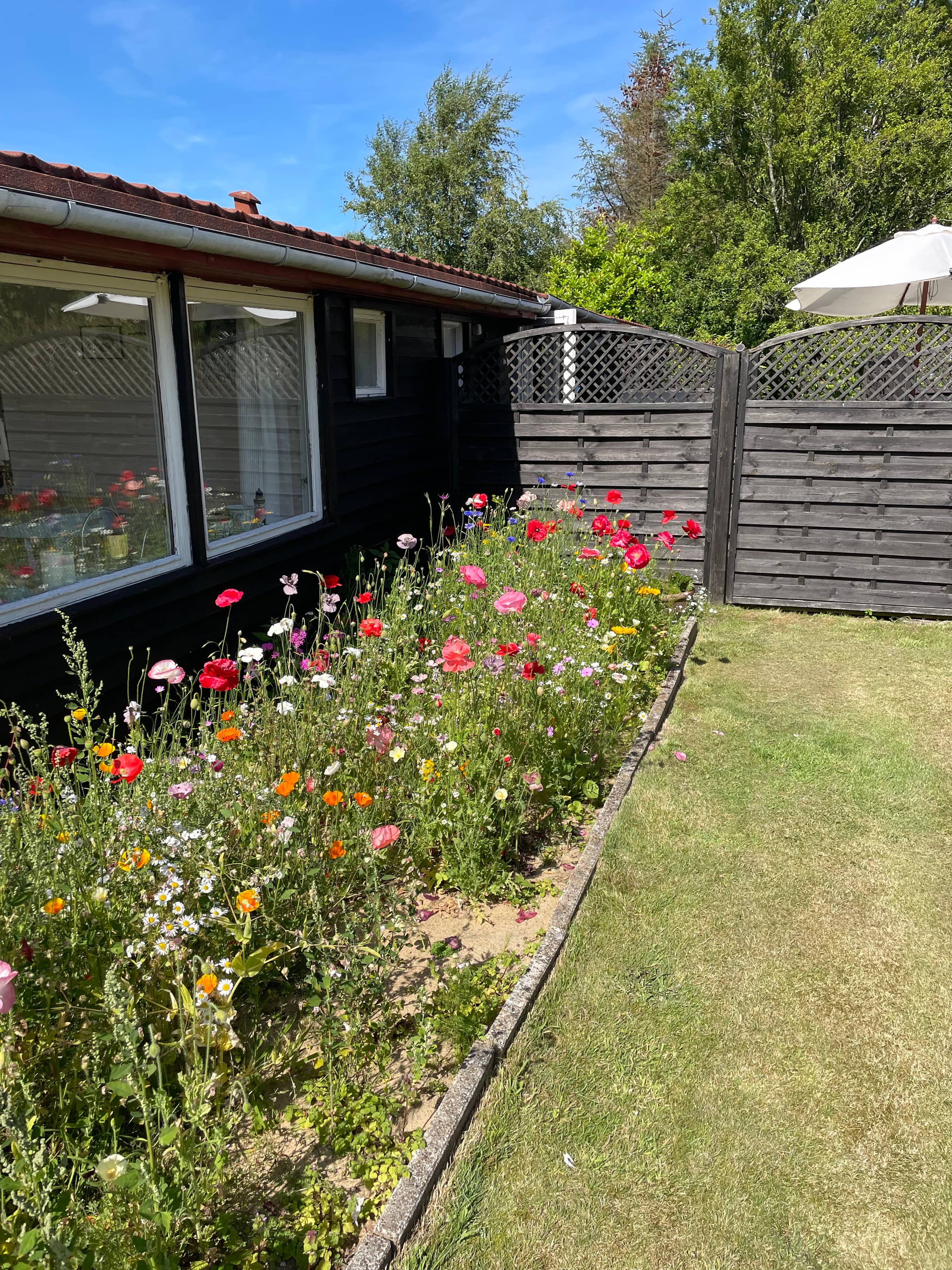  🌞 Attraktivt og lyst sommerhus i Hals billede 4