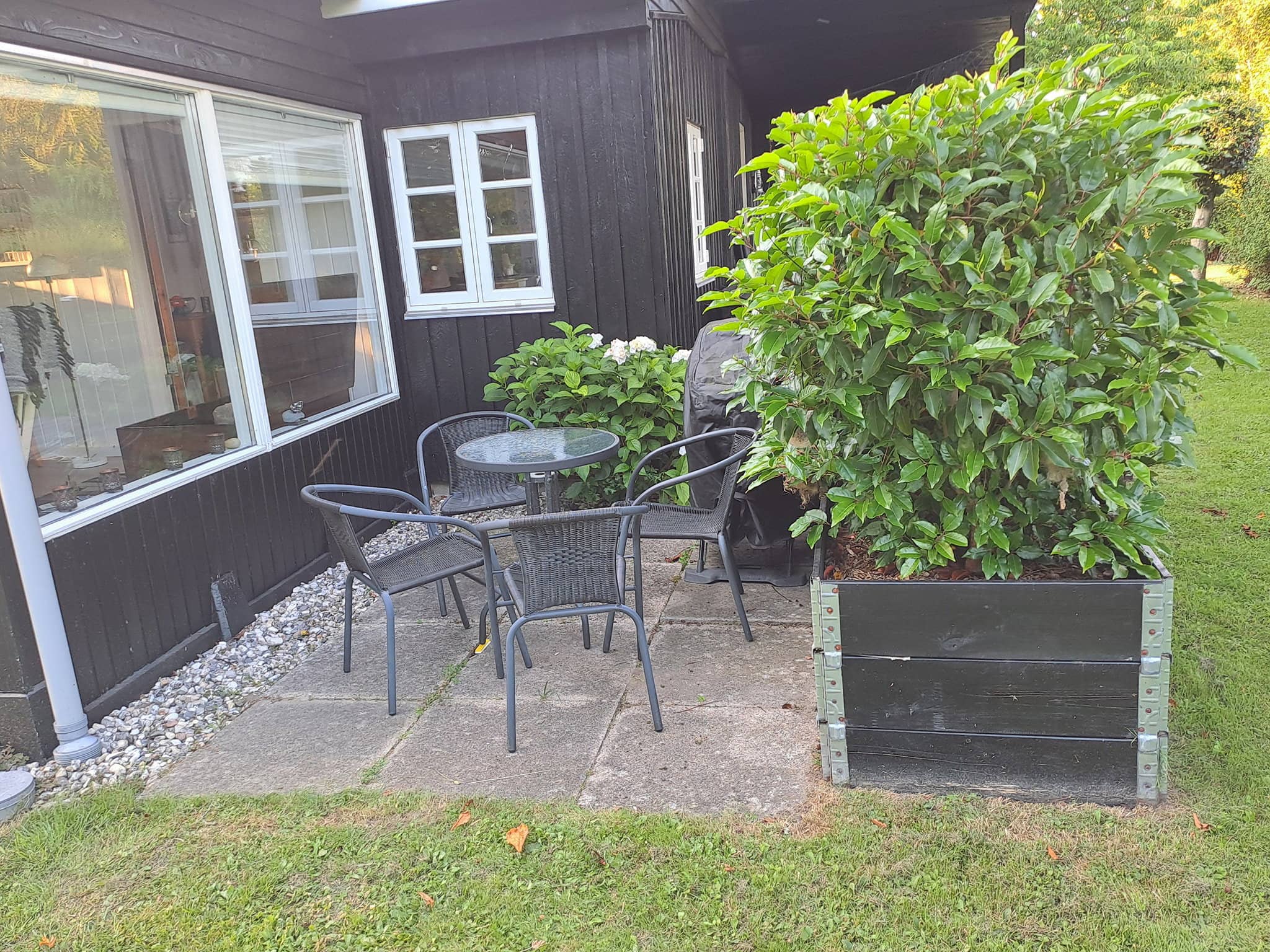 Natur, ro og hygge tæt på skov og strand billede 5