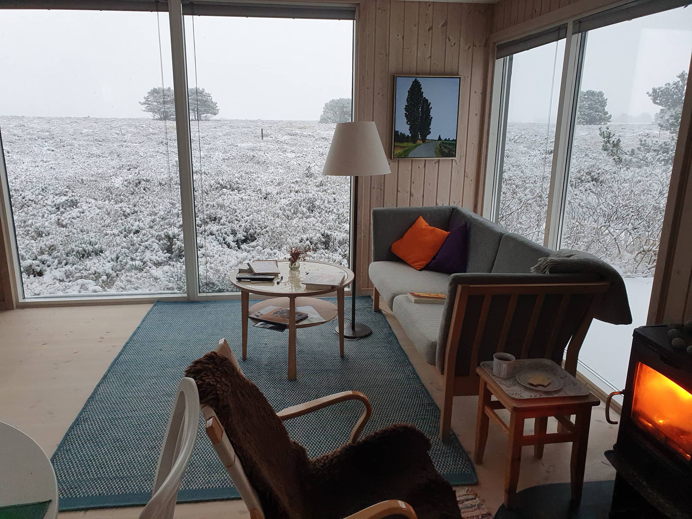 Natur for alle pengene her på skønne Læsø billede 4
