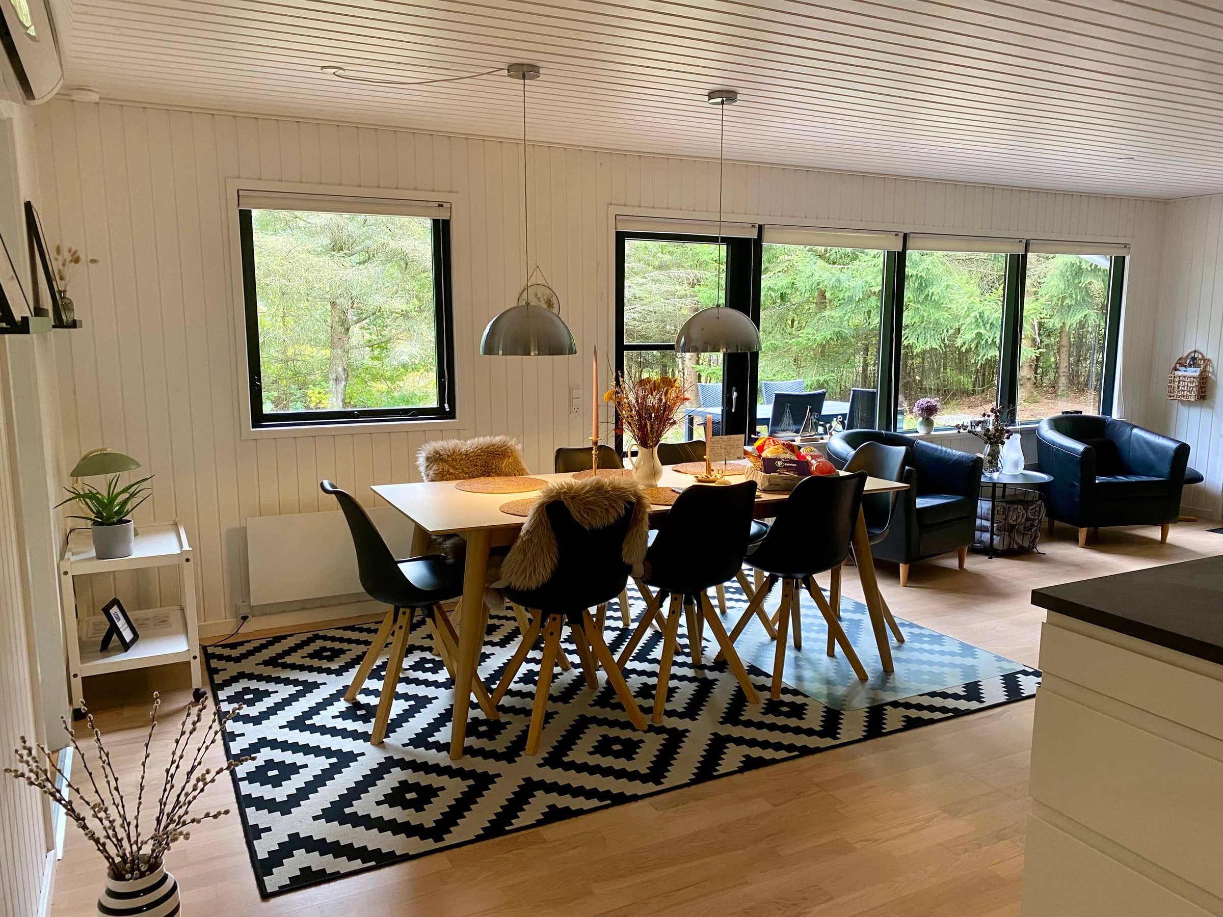 Sommerhus Fauna Hou, Hals, 300 meter fra havet billede 2