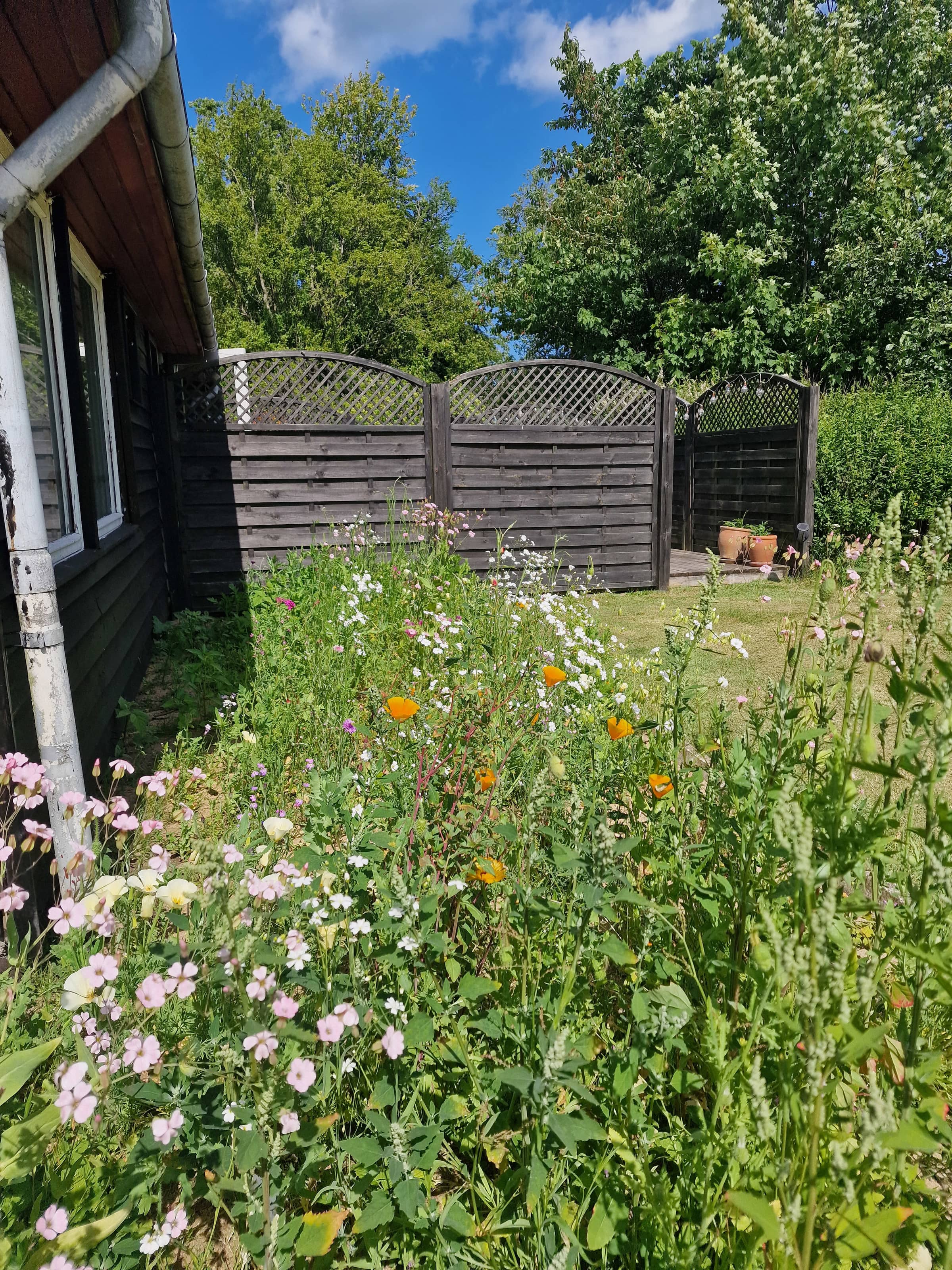  🌞 Attraktivt og lyst sommerhus i Hals billede 5