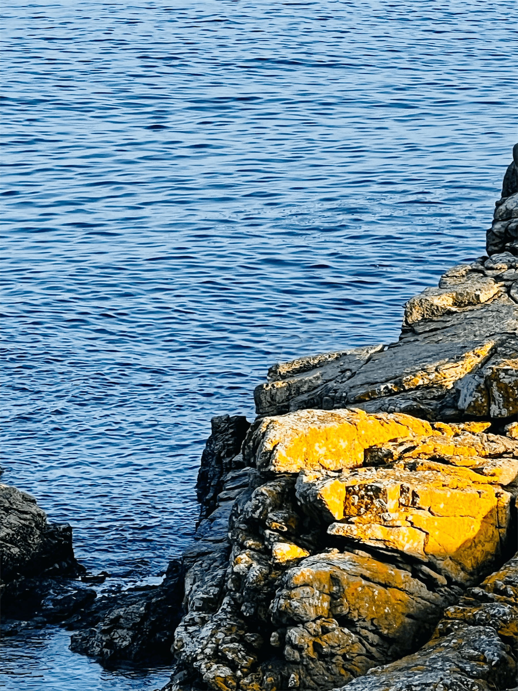 Nyd havudsigt & klipper – 50m fra havet i Sandvig billede 4