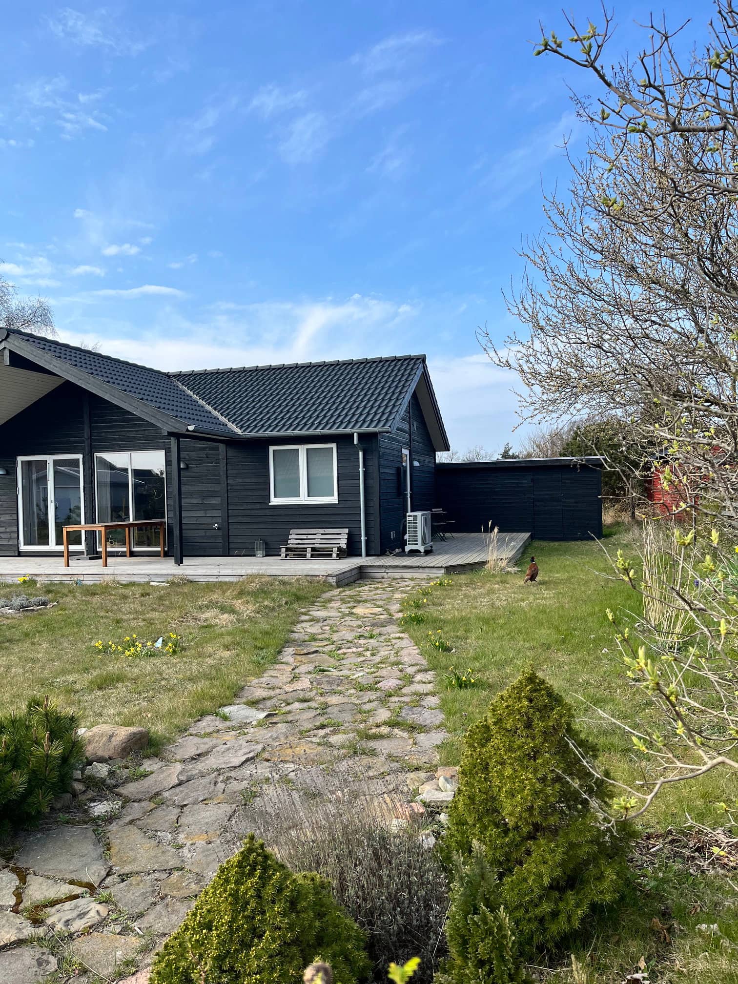 Moderne helårsisoleret hus med alt du behøver! billede 2