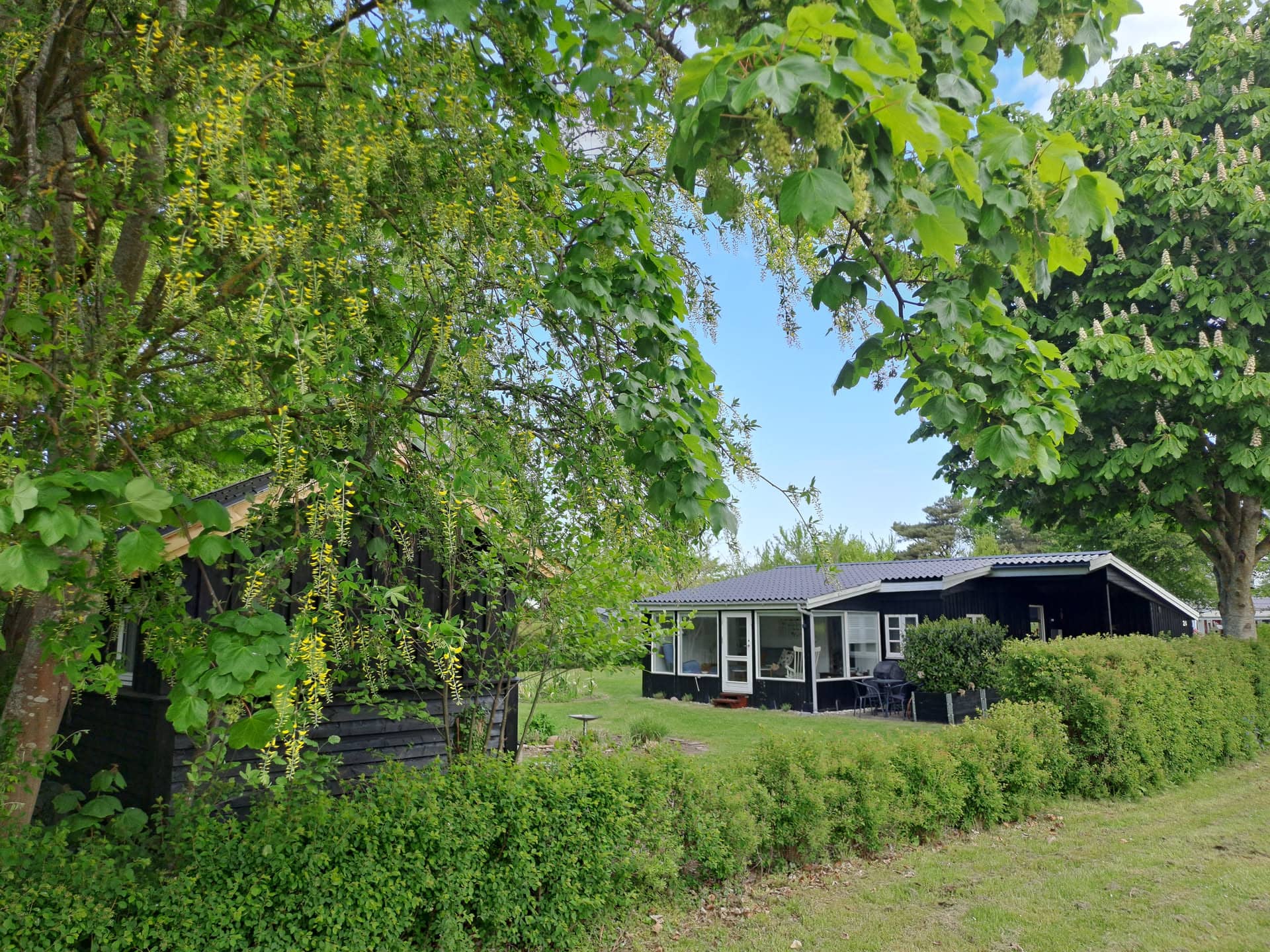 Natur, ro og hygge tæt på skov og strand billede 4
