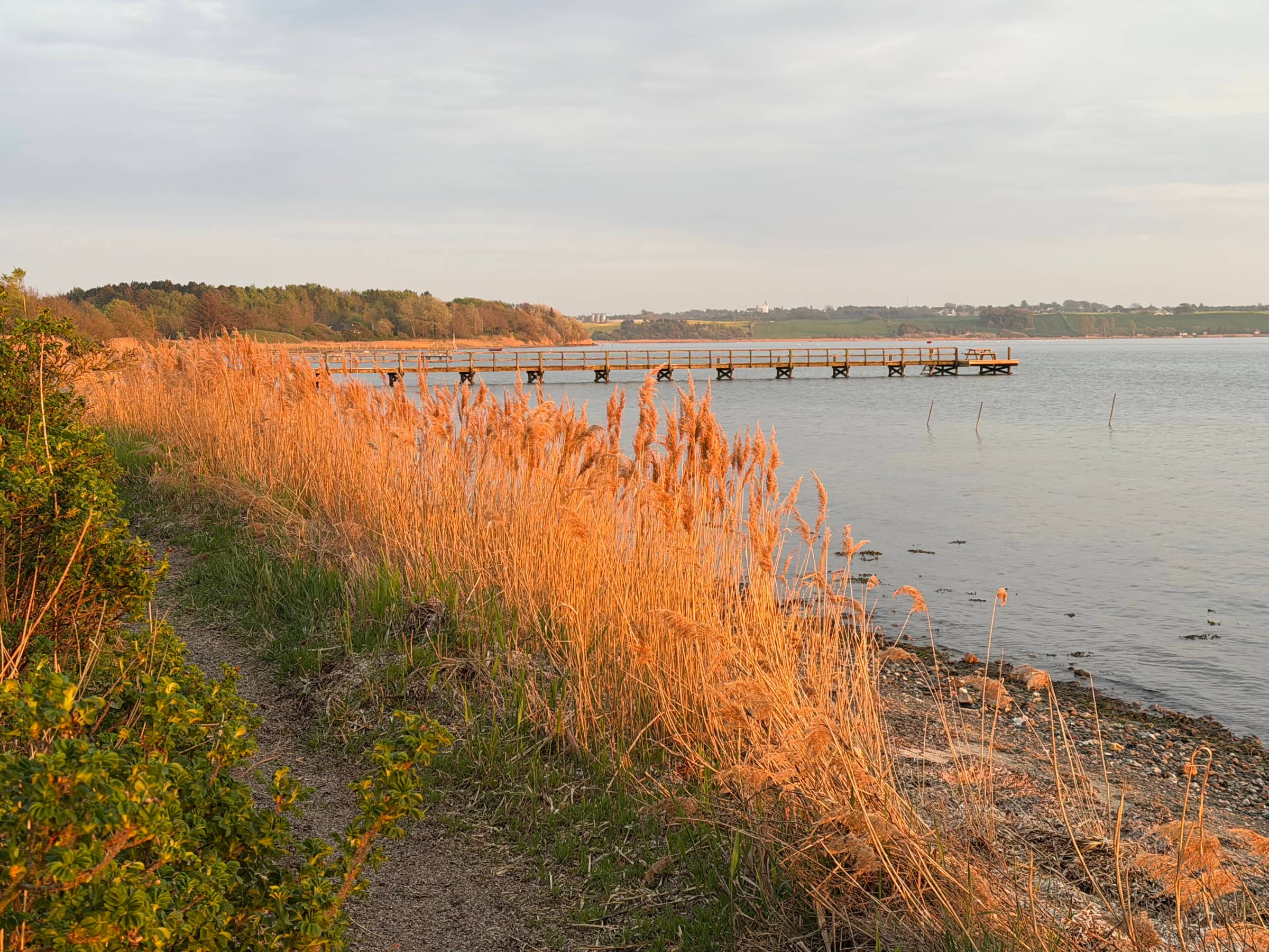 Rummeligt feriehus nær kyst og natur billede 4