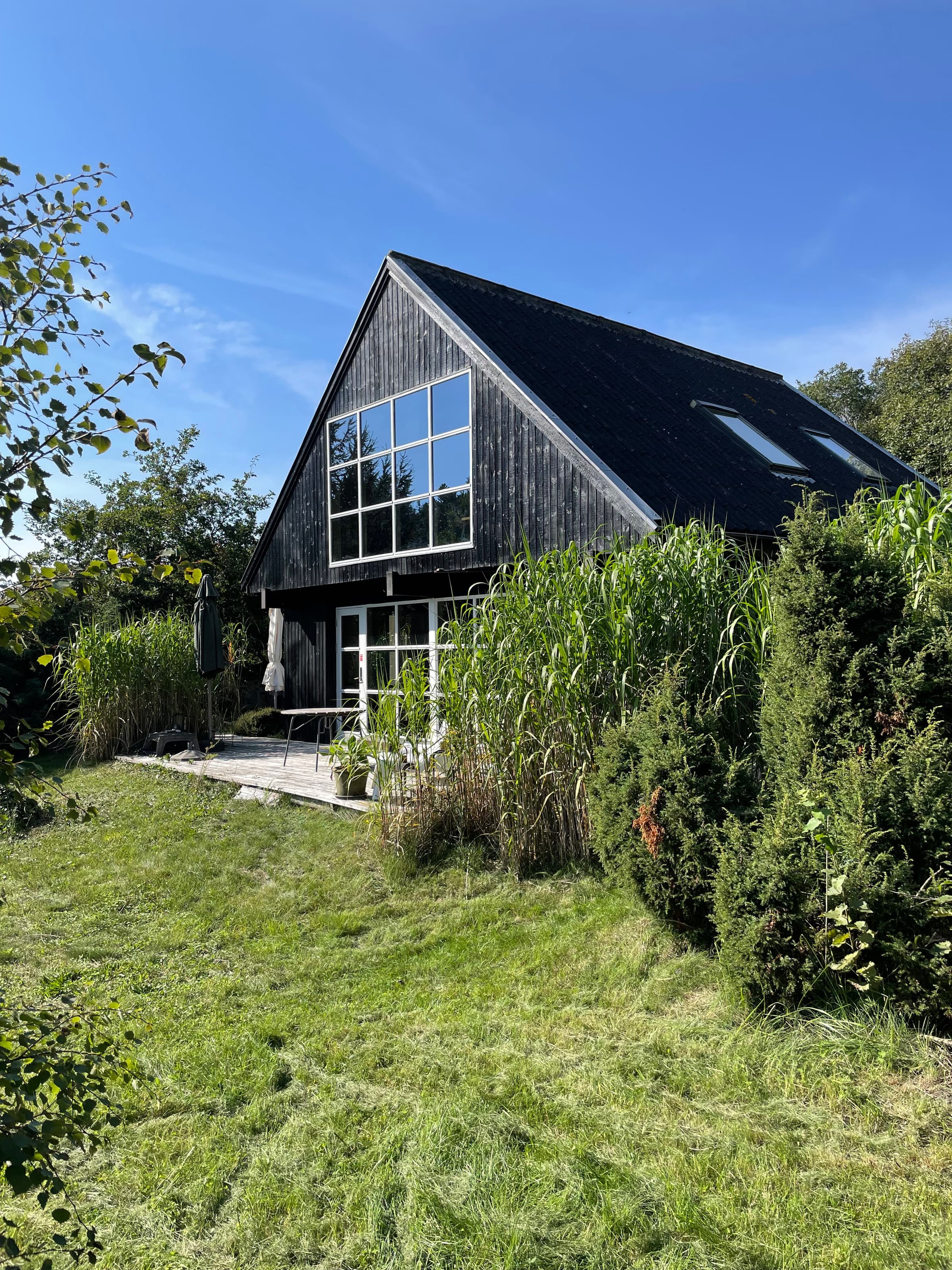 Skønt strandhus pakket ind i grønne omgivelser - billede 1