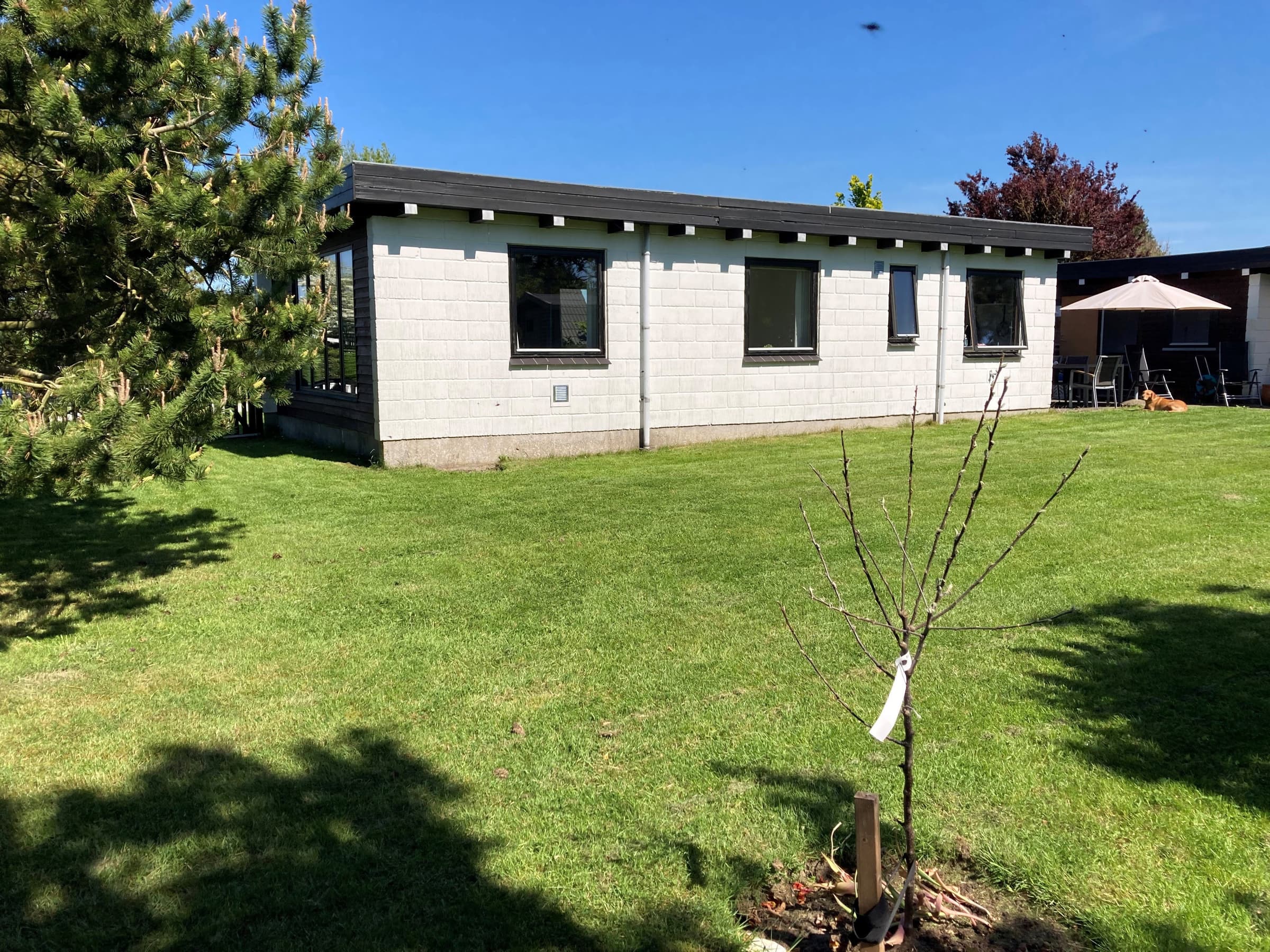 Hyggeligt sommerhus ved Skåstrup Strand - billede 1