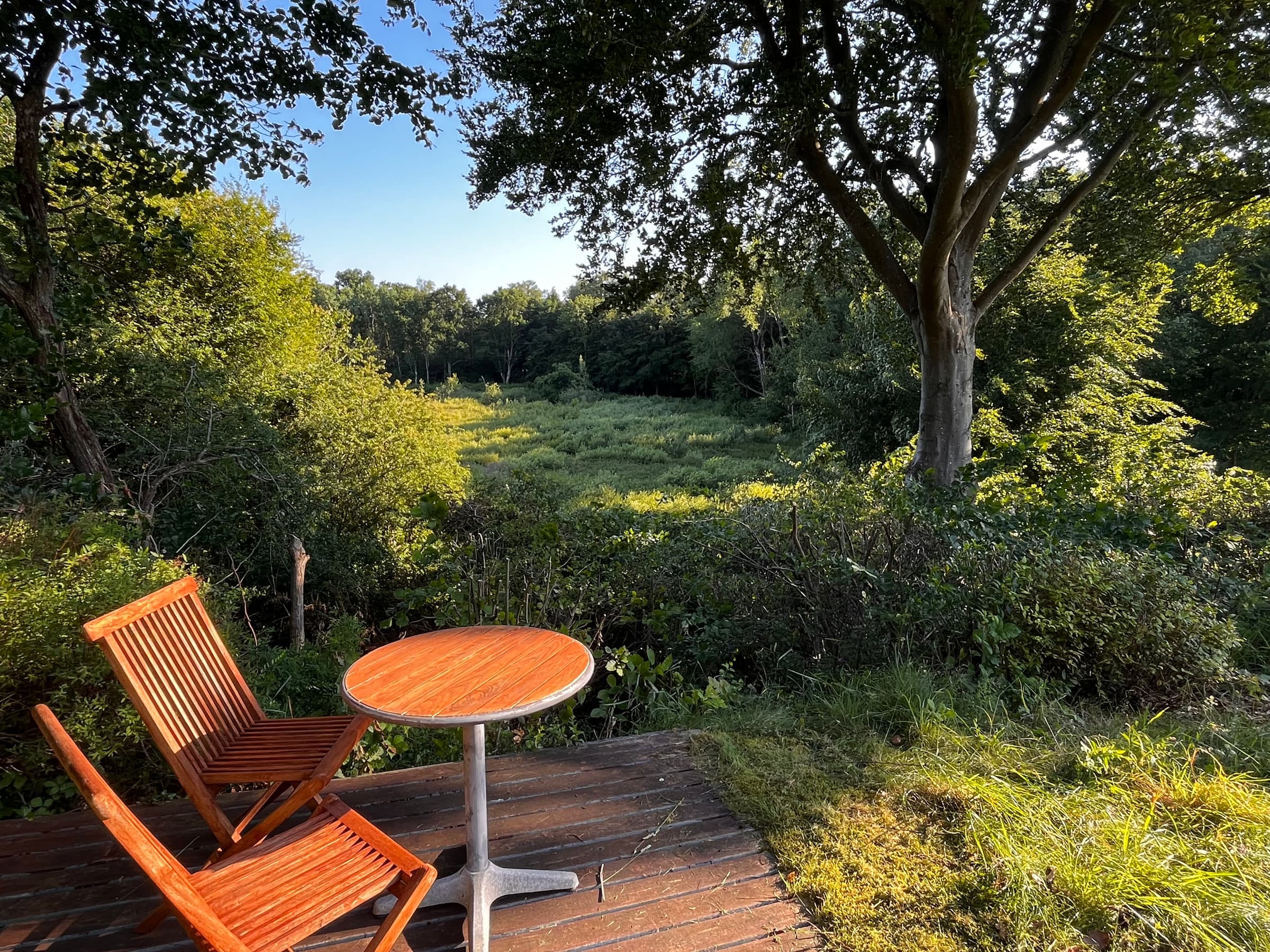 Sommerhus med stor terrasse ud til naturen - billede 1