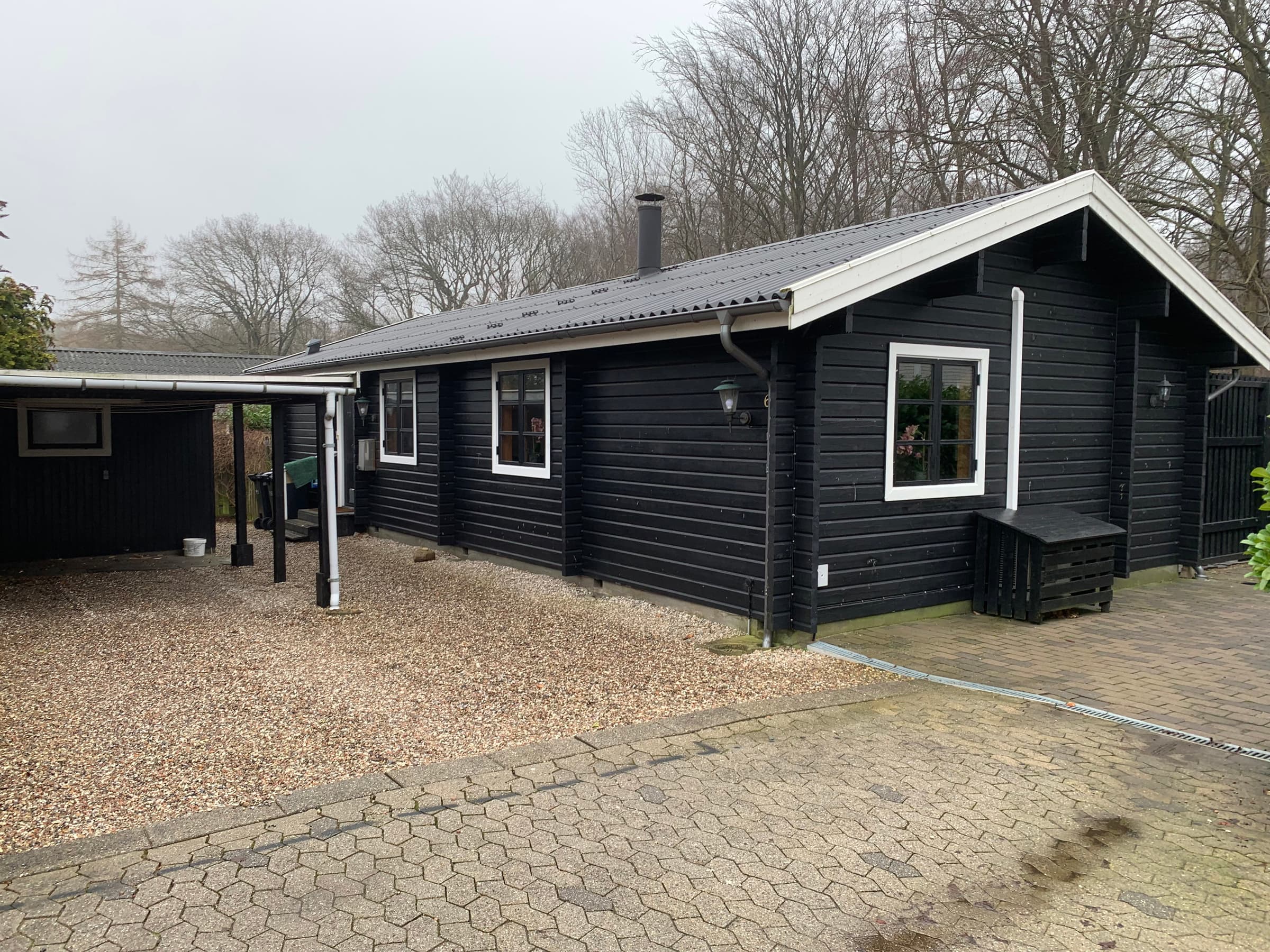 Oplev Nordsjællandsk bøgeskov og strand - billede 1