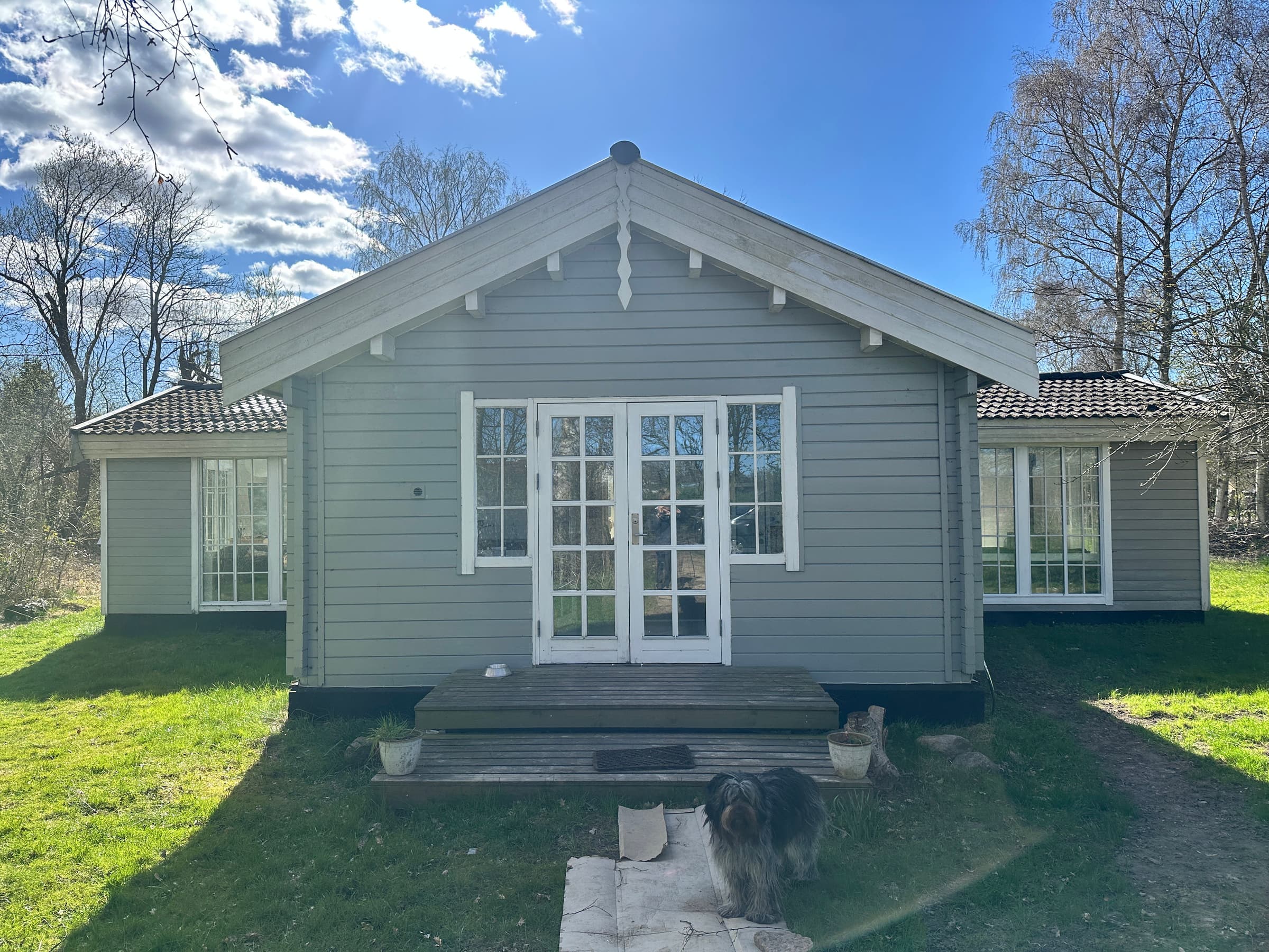 Villa Betula: Naturperle ved Hårbølle Havn - billede 1