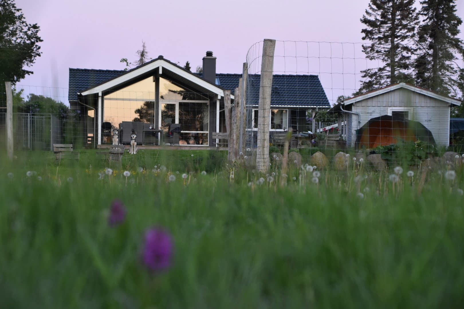 Lyst sommerhus m havudsigt og stor indhegnet have - billede 1