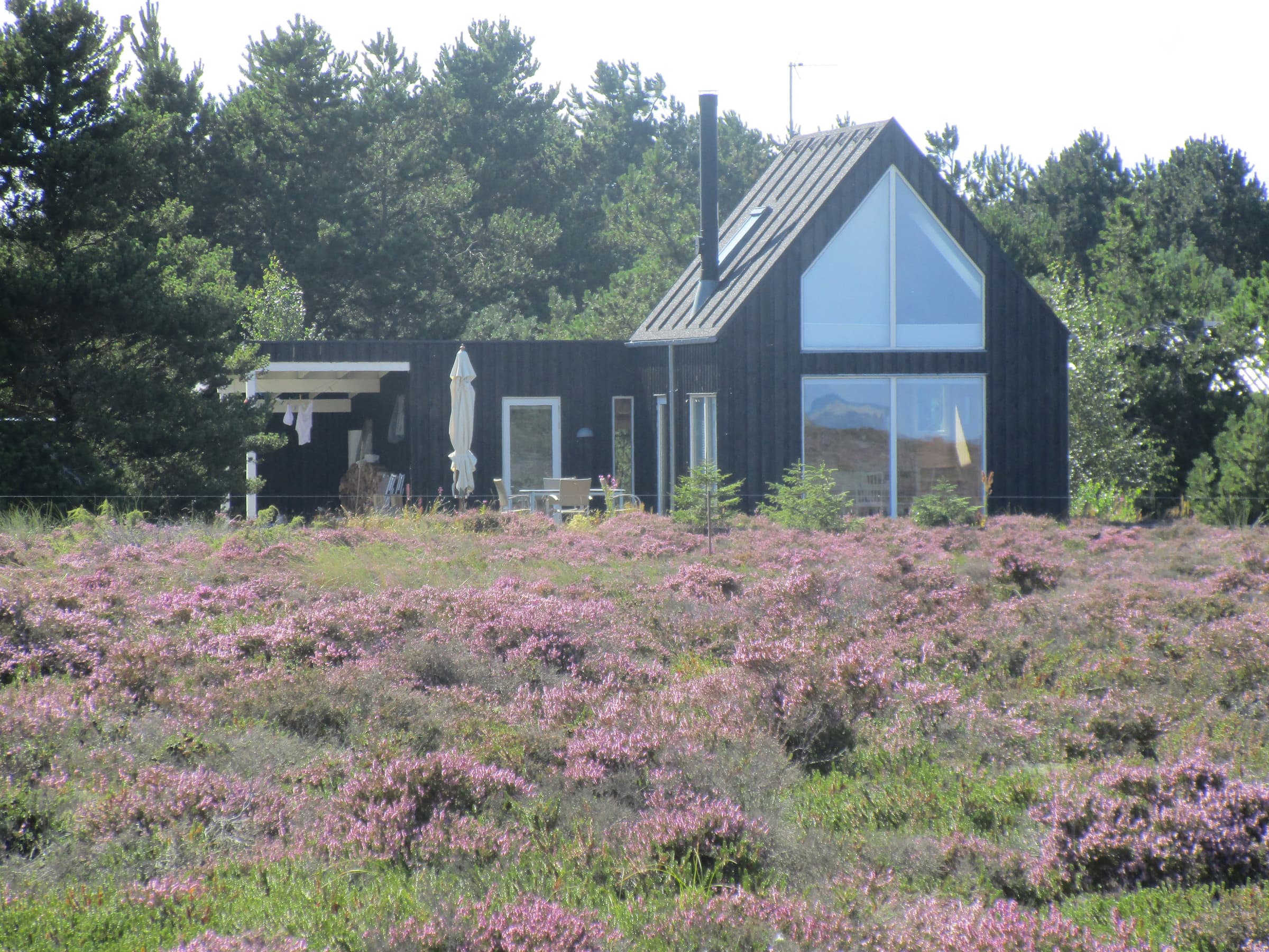Natur for alle pengene her på skønne Læsø - billede 1